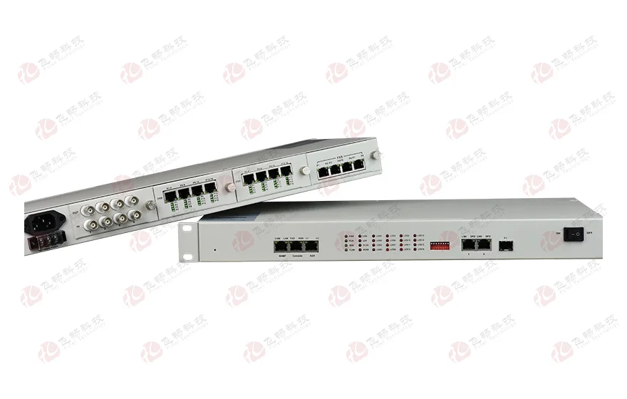 模块化多业务 TDM Over IP 电路仿真网关
